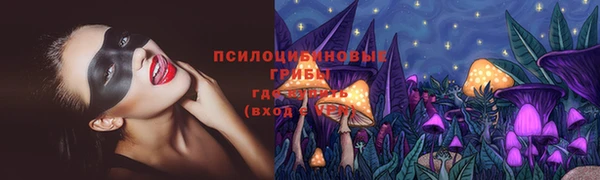 марки lsd Богданович